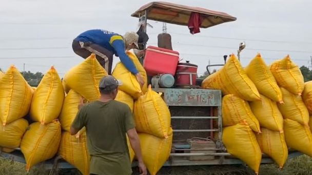 Vietnam's rice exports may reach the 5 billion USD mark